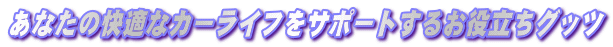 ���Ȃ��̉��K�ȃJ�[���C�t���T�|�[�g���邨�𗧂��O�b�c
